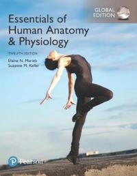 Essentials of human anatomy & physiology; Elaine Nicpon Marieb; 2018