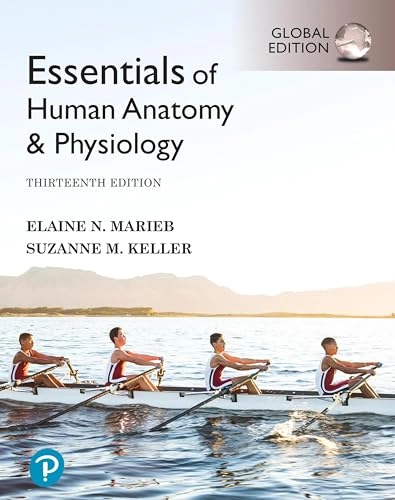 Essentials of human anatomy & physiology; Elaine Nicpon Marieb; 2021