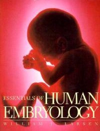 Essentials of human embryology; William J. Larsen; 1998