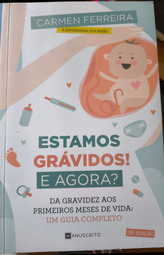 Estamos grávidos e agora?; Carmen Ferreira ; 2024