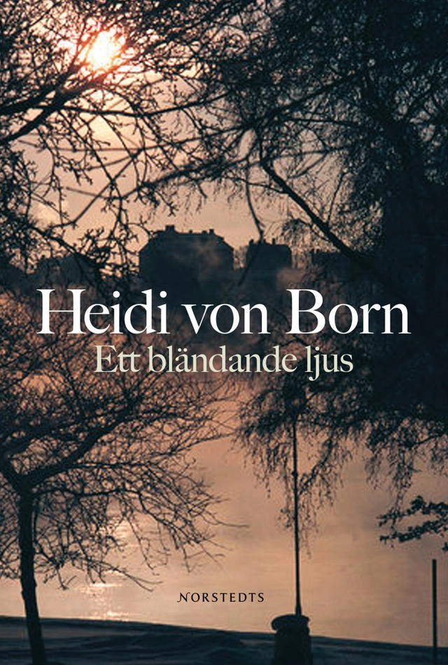 Ett bländande ljus; Heidi von Born; 2008