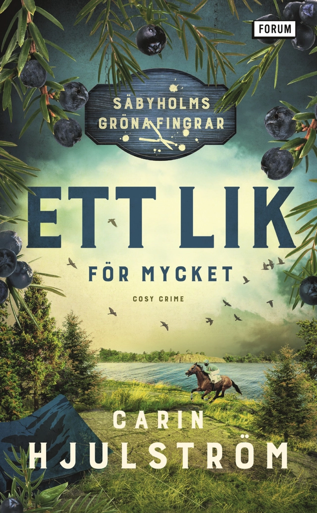 Ett lik för mycket; Carin Hjulström; 2023