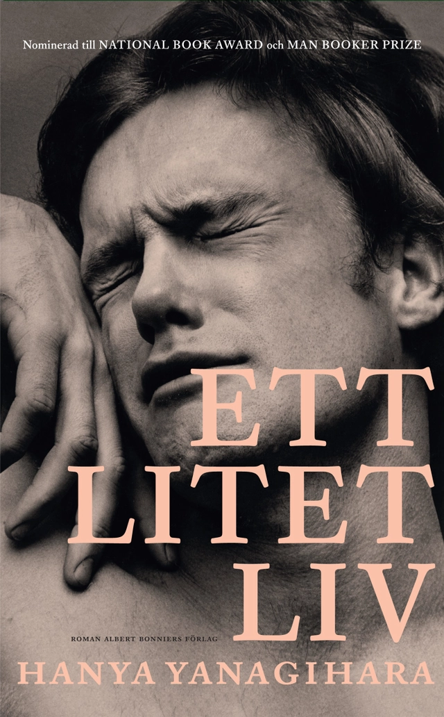 Ett litet liv; Hanya Yanagihara; 2017