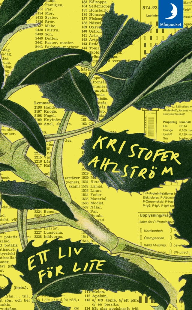 Ett liv för lite; Kristofer Ahlström; 2015
