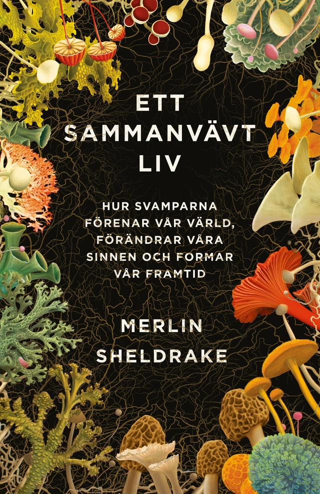 Ett sammanvävt liv : hur svamparna förenar vår värld, förändrar våra sinnen och formar vår framtid; Merlin Sheldrake; 2023