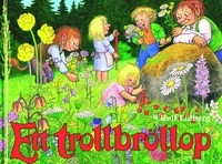Ett trollbröllop; Erik Arpi; 2004