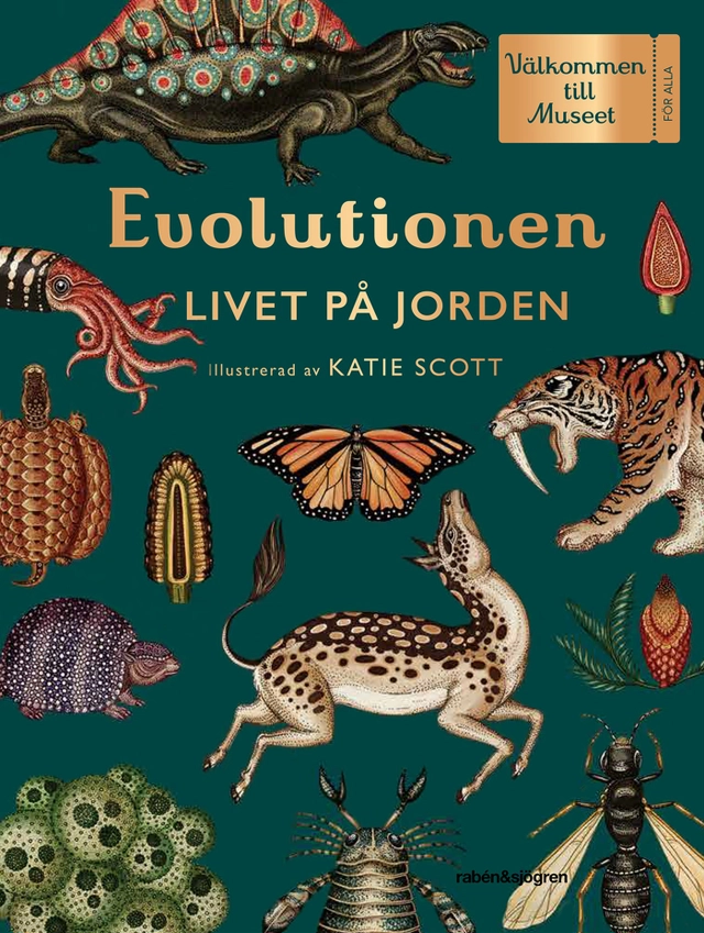 Evolutionen : livet på jorden; Fiona Munro, Ruth Symons; 2018