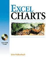 Excel Charts; John Walkenbach; 2002