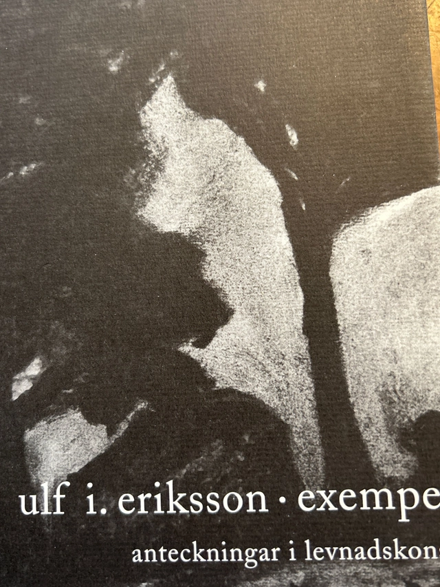 Exempel : anteckningar i levnadskonst; Ulf I. Eriksson; 1999