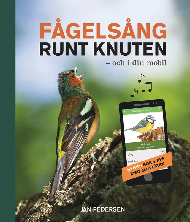Fågelsång runt knuten och i din mobil; Jan Pedersen; 2015
