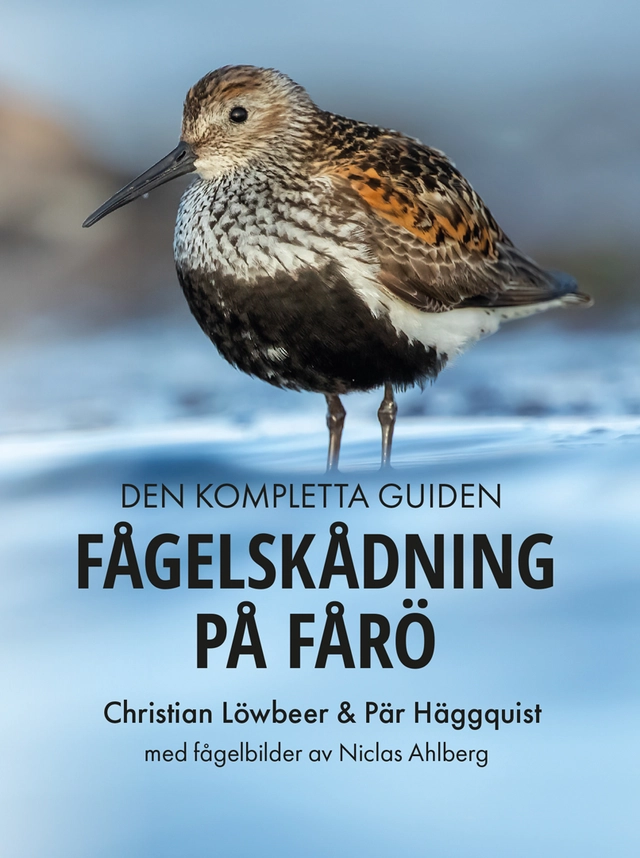 Fågelskådning på Fårö; Christian Löwbeer, Pär Häggquist, Niclas Ahlberg; 2025