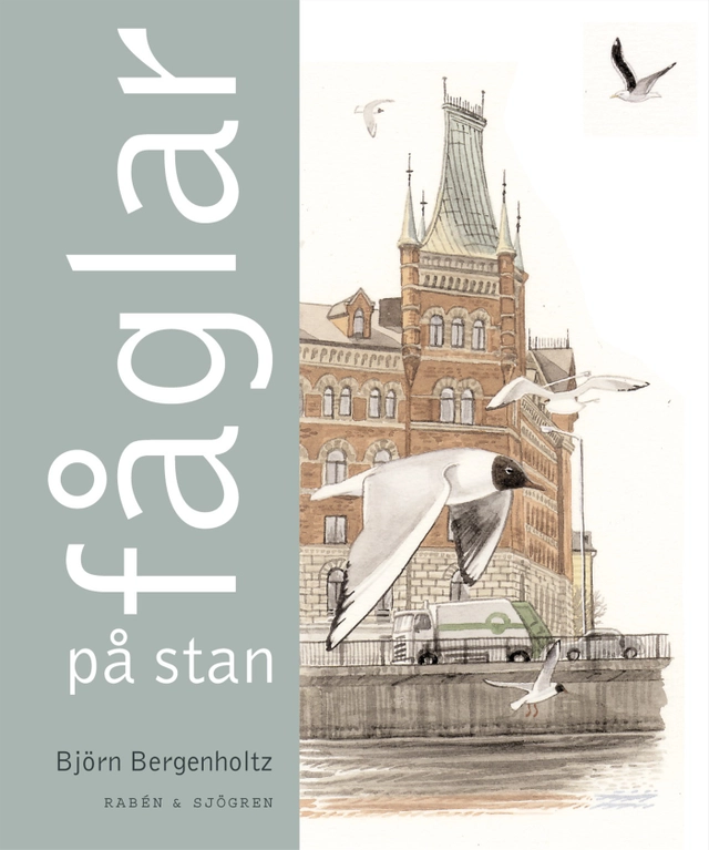 Fåglar på stan; Björn Bergenholtz; 2001