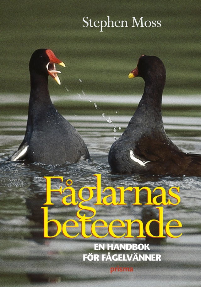 Fåglarnas beteende : en handbok för fågelälskare; Stephen Moss; 2005