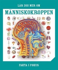 Fakta i fokus. Lär dig mer om människokroppen; Fleur Star; 2014