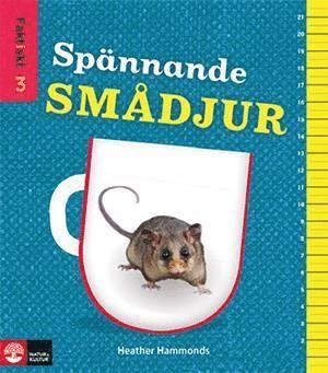 Faktiskt nivå 3 5 titlar; Din kropp ut och in; Far och flyg; Spännande småd; Gitten Skiöld; 2015