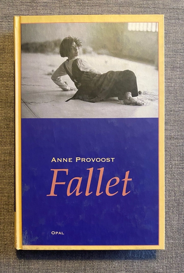 Fallet; Anne Provoost; 1995