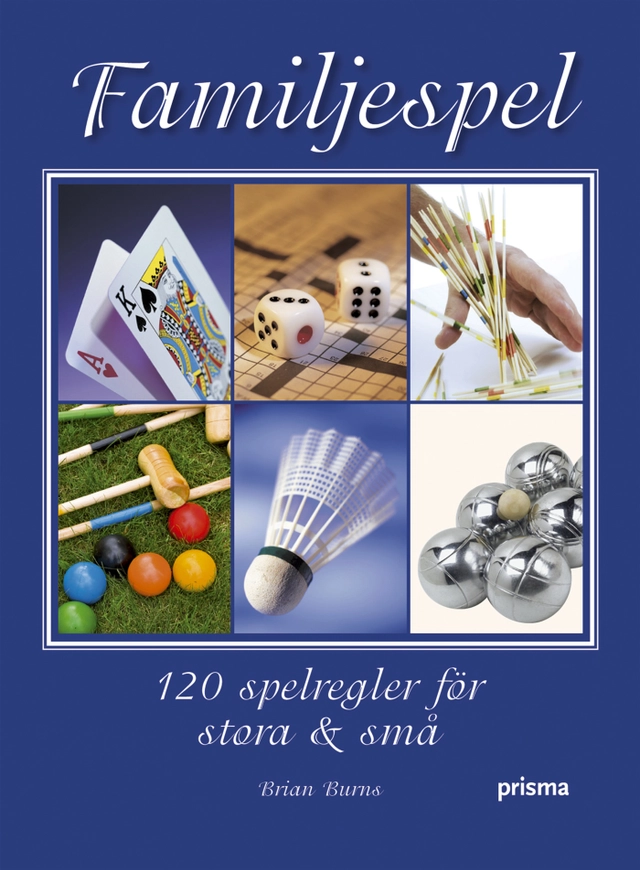 Familjespel : 120 utmaningar för stora & små; Brian Burns; 2006