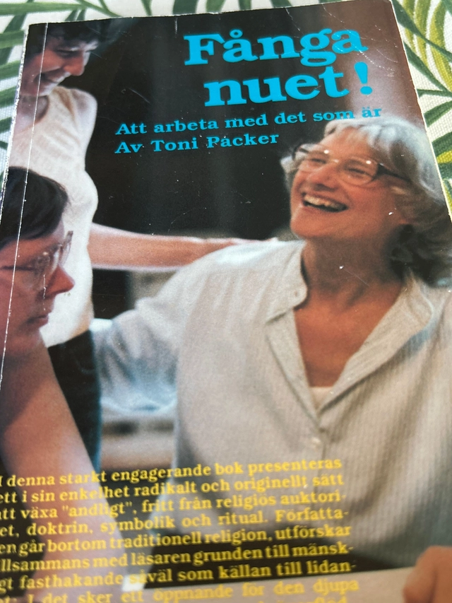 Fånga nuet : att arbeta med det som är; Toni Packer; 1992