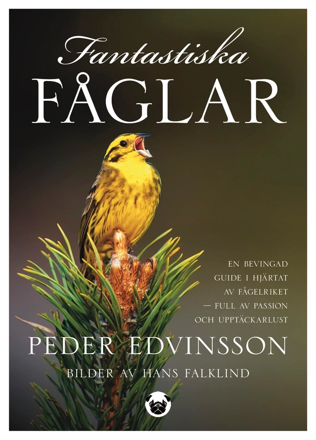 Fantastiska fåglar : en bevingad guide i hjärtat av fågelriket - full av passion och upptäckarlust; Peder Edvinsson; 2021