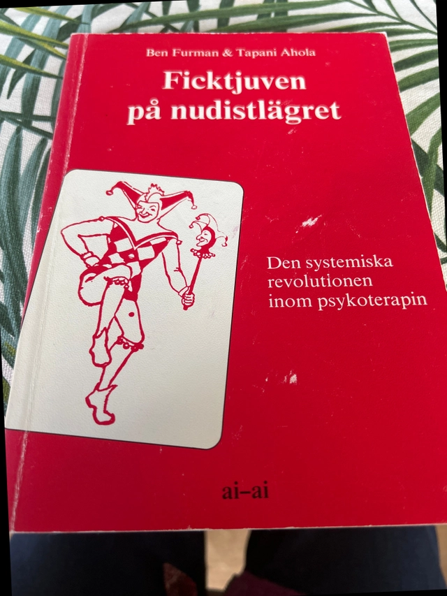 Ficktjuven på nudistlägret : den systemiska revolutionen inom psykoterapin; Ben Furman; 1988