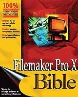 FileMaker Pro 6 Bible; Steven A. Schwartz; 2002
