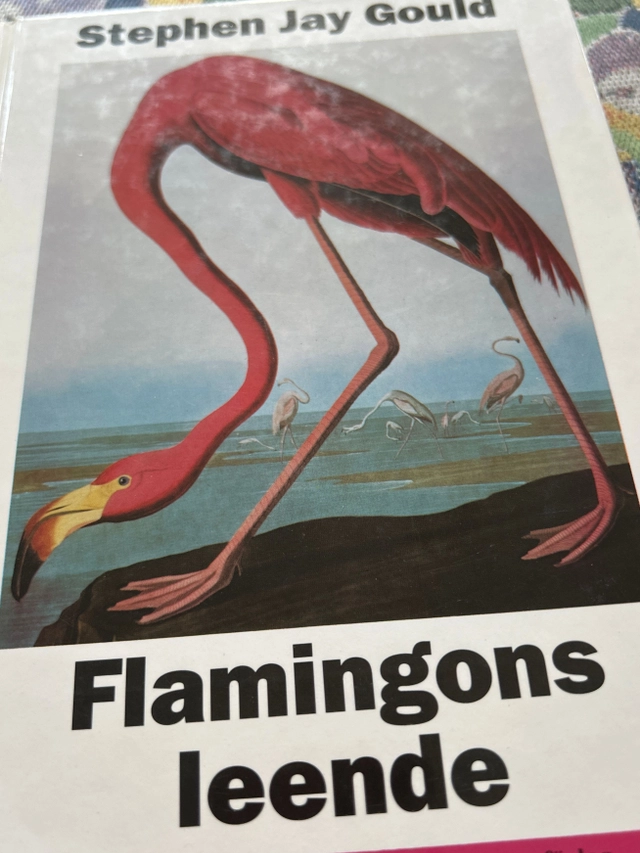 Flamingons leende : naturhistoriska essäer; Stephen Jay Gould; 1989