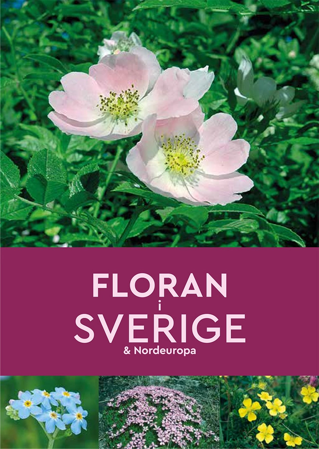 Floran i Sverige & Nordeuropa; Andrew Cleave; 2022