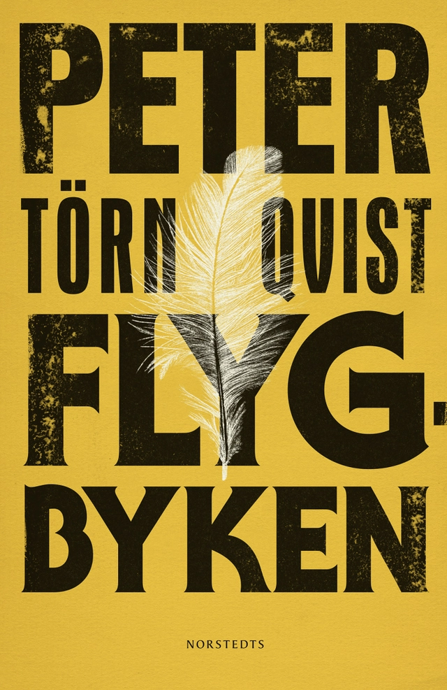 Flygbyken : och 83 andra lämningar; Peter Törnqvist; 2019