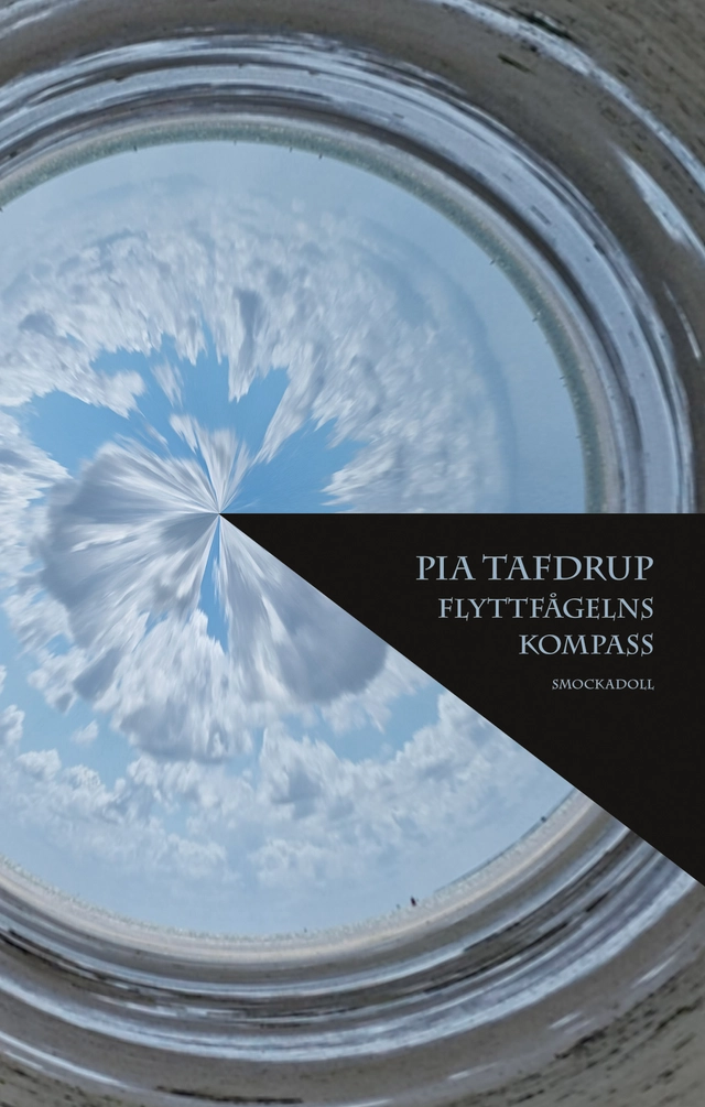 Flyttfågelns kompass; Pia Tafdrup; 2022