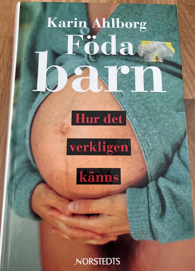 Föda barn : Hur det verkligen känns; Karin Ahlborg; 1995