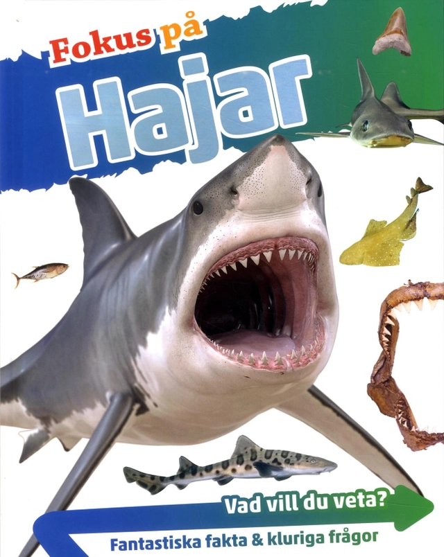 Fokus på hajar; Sarah Fowler; 2017