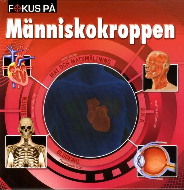 Fokus på människokroppen; Malin Barthelson; 2013