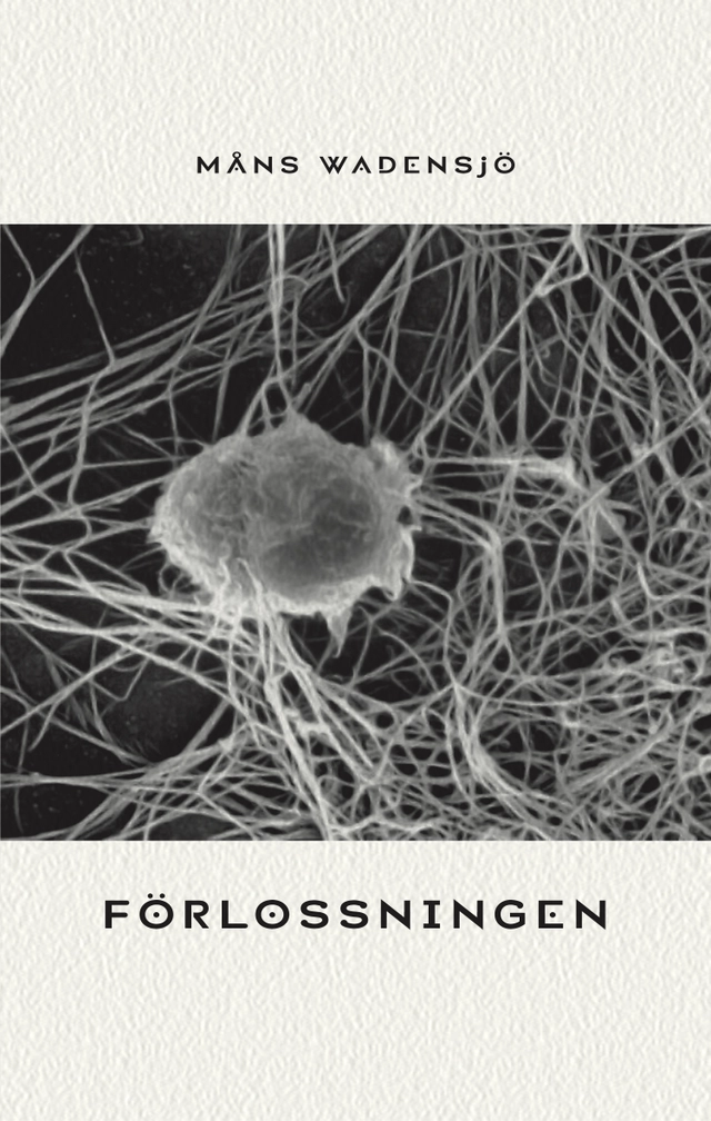 Förlossningen; Måns Wadensjö; 2009