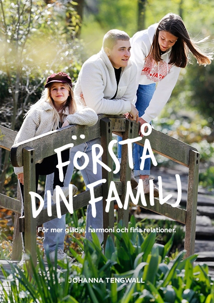 Förstå din Familj : för mer glädje, harmoni och trygga relationer; Johanna Tengwall; 2020