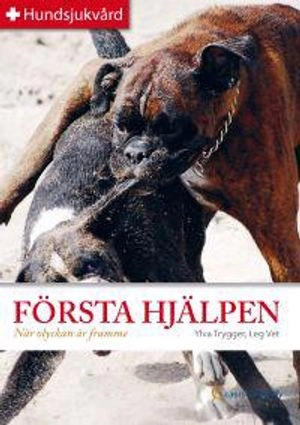 Första hjälpen : när olyckan är framme; Ylva Trygger; 2010