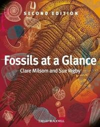 Fossils at a Glance; Clare Milsom, Sue Rigby; 2009