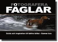 Fotografera fåglar : guide och inspiration till bättre bilder; Gunnar Aus; 2008
