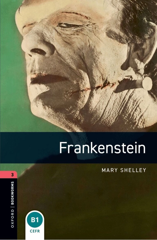 Frankenstein; Mary Wollstonecraft Shelley, Patrick Nobes; 2008