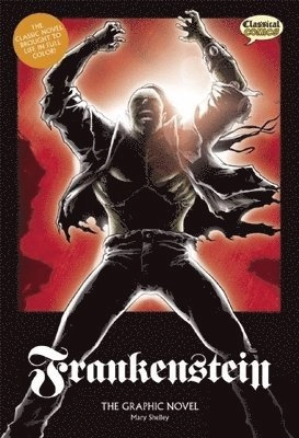 Frankenstein : the graphic novel : original text version; Jason Cobley, Declan Shalvey, Mary Wollstonecraft Shelley; 2011