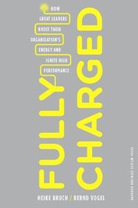 Fully Charged; Heike Bruch, Bernd Vogel; 2011