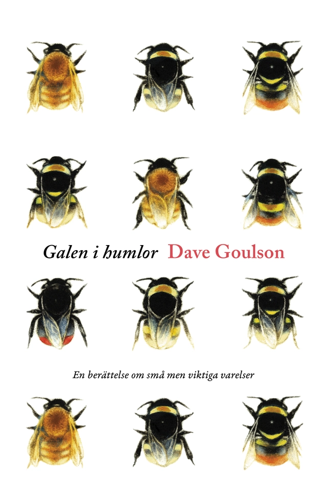 Galen i humlor; Dave Goulson; 2015