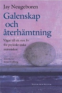 Galenskap och återhämtning : Vägar till ett nytt liv för psykiskt sjuka människor; Jay Neugeboren; 2001