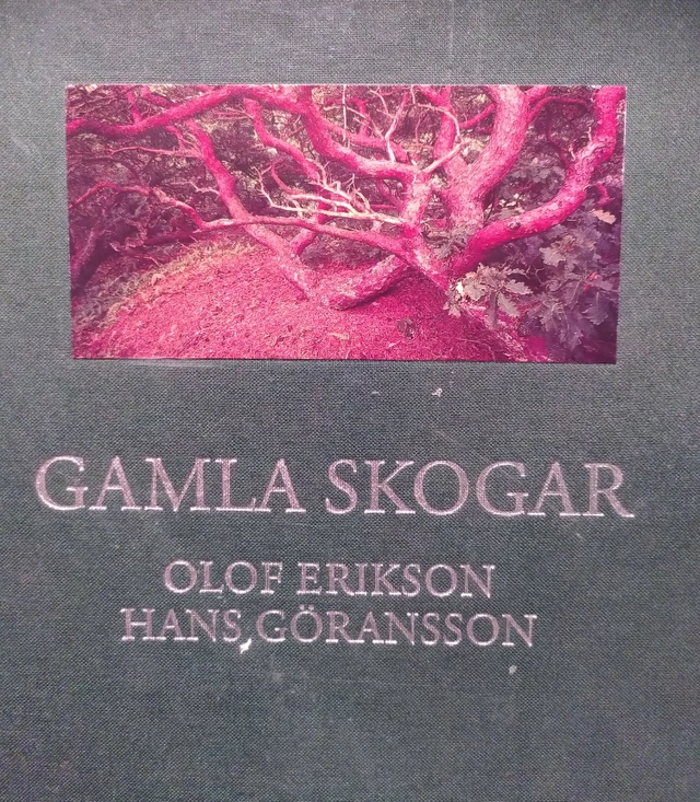 Gamla skogar; Olof Erikson; 1992