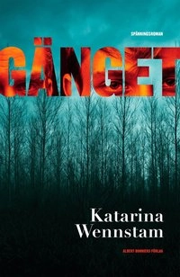 Gänget; Katarina Wennstam; 2017
