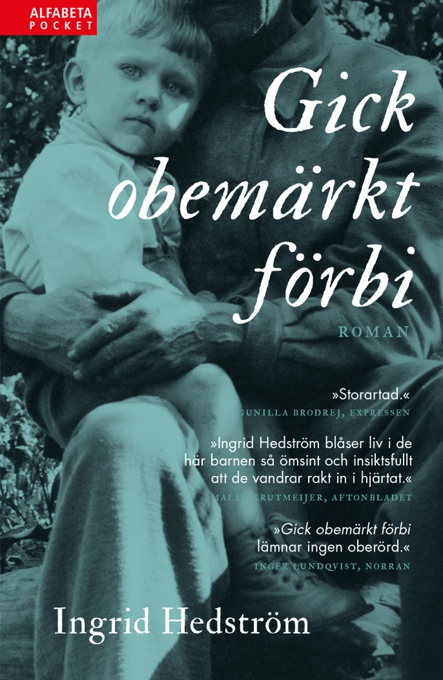 Gick obemärkt förbi; Ingrid Hedström; 2018