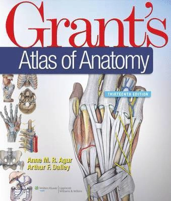 Grant's atlas of anatomy; Anne M. R. Agur; 2013