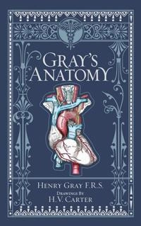 Gray's Anatomy; Henry Gray, Robert Howden, T Pick P; 2018