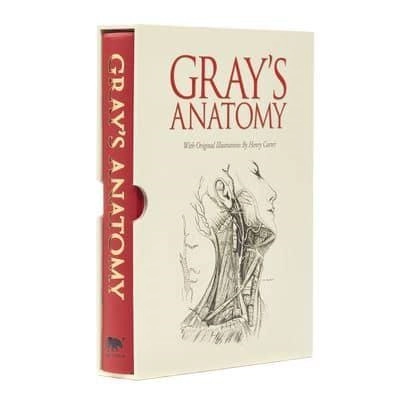 Grays Anatomy; Henry Gray; 2013