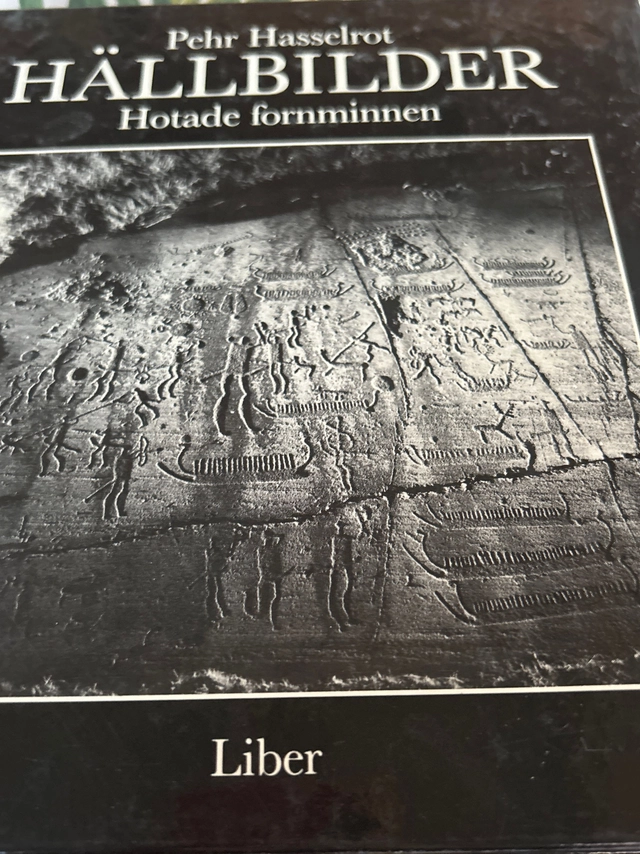 Hällbilder : hotade fornminnen; Pehr Hasselrot; 1984