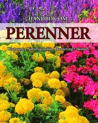 Handbok om perenner : ursprung, naturlig miljö, plantering och skötsel; Andrea Rausch; 2007